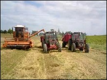 Investissements: les Hauts plateaux et le Sud réalisent, « une avancée intéressante » en 2010 (ANDI)