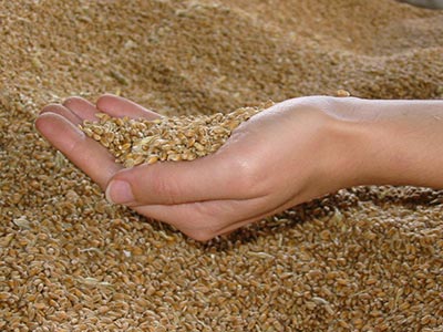 La facture alimentaire grimpe de 41%