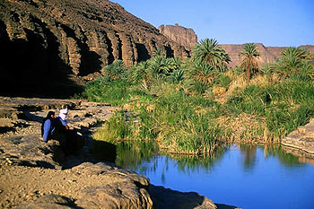 L’Algérie se tourne résolument vers le sud