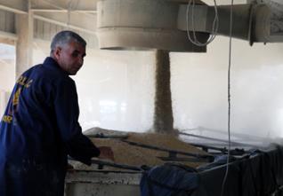 Le ministre de l’Agriculture t du Développement rural : Le blé dur st disponible et pas de pénurie de semoule»