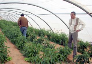 Nouvelles exploitations agricoles : 110 000 dossiers traités par l’ONTA