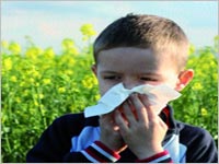 Plus de 8 millions d’Algériens souffrent d’asthme et d’allergies
