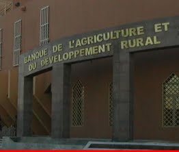 Procès en appel aujourd&rsquo;ui opposant la Badr à Digimex , L&rsquo;affaire de dilapidation de 1200 milliards de centimes remonte à la surface