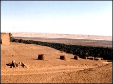 Protection des foggaras à Adrar: les experts en appellent aux techniques scientifiques