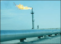 Réserves pétrolières de l’Algérie,Les dits et les non-dits !
