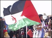 Réunion du comité national de solidarité avec le peuple sahraoui : Les droits de l’homme bafoués