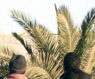 Tunisie,Il faut sauver le soldat tourisme !