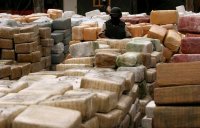64 tonnes de cannabis sont saisies annuellement en Algérie