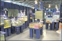 Aïn Témouchent,Sauver l’aquarium de Beni Saf