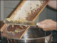 Apiculture,Pour que le miel coule à flots