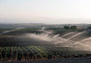 Crédits bonifiés RFIG et ettahadi : Booster l’agriculture et l’élevage