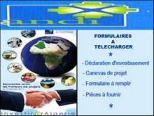 L’ANDI lance la déclaration d’investissement on-line