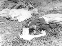 Les massacres du 8 Mai 1945,Une tragédie de plus