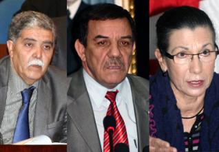 Les partis et les décisions du Conseil des ministres : Entre adhésion et prudence