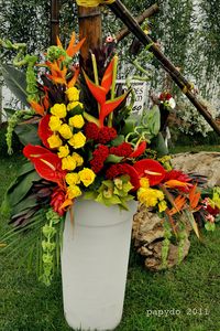 Plus de 80 exposants à la 4ème édition des Floralies d&rsquo;Oran