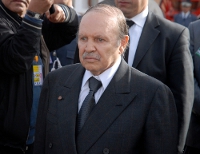 Réformes politiques et révision constitutionnelle,Les quelques pistes de Bouteflika