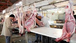 Vers une grève des vétérinaires  «Nous allons bloquer l’Algérie» !!