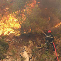 Création de plus de 200 emplois dans le cadre de la prévention contre les incendies de forêts à Constantine