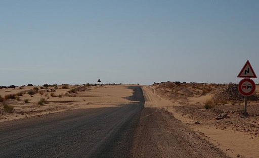 Désertification : Le projet d&rsquo;une « muraille verte » au centre des propositions de l&rsquo;Afrique