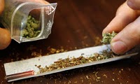 Drogues: L ONU classe le Maroc parmi les plus gros producteurs de cannabis