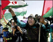 F. Polisario – Maroc , Référendum «Le Sahara n’est pas un territoire marocain»