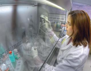 Industrie pharmaceutique: L’Algérie, futur pole régional