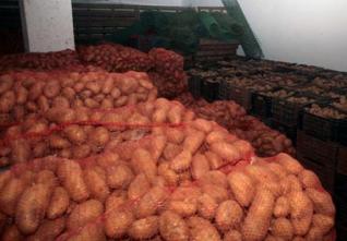 Inflation : La pomme de terre et la sardine toujours chères