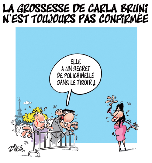 La grosse de Carla Bruni n&rsquo;est toujours pas confirmée