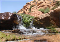 Laghouat ,Tourisme Aménagement des sites Er-R&rsquo;ha et Bekhdache