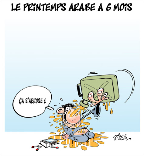 Le printemps arabe a 6 mois