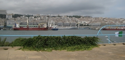 Les autorités algériennes tentent d’organiser le secteur du commerce