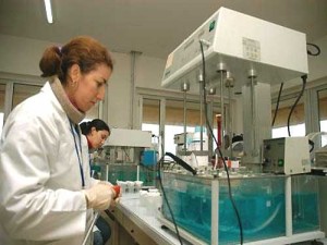 Les chercheurs des centres nucléaires rassurés : Atomes crochus avec le ministre de l’énergie