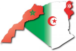 Les pays maghrébins gagneraient à défendre leurs intérêts en tant que bloc
