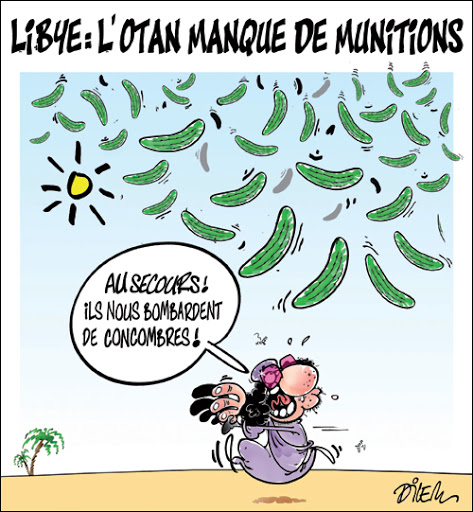 Libye : L&rsquo;Otan manque de munitions