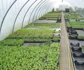 Possible complémentarité « agricole » entre l&rsquo;Algérie et le Maroc