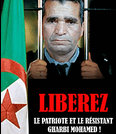 Affaire Mohamed Gharbi,La polémique