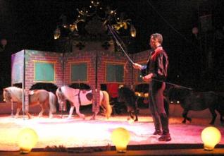 Du 5 juillet à la fin du mois de Ramadhan : Le Cirque Amar revient à Alger