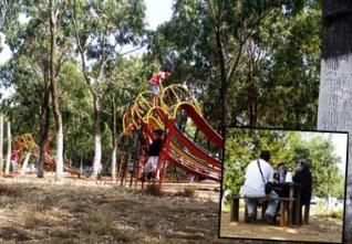 Forêt de Bainem : Un havre de paix et de sérénité