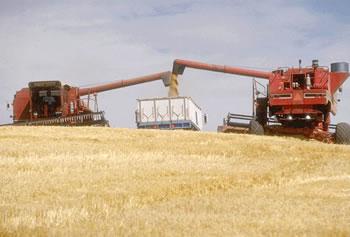 Lait et céréales,Benaïssa prépare le Ramadhan