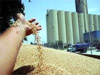 Plus de 99% d’augmentation des achats de céréales,La facture alimentaire de l’Algérie explose