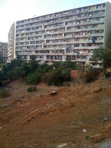 Privée de son unique carré de verdure, une cité algéroise se révolte (+vidéo)