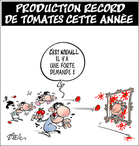 Production record de tomates cette année