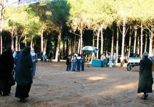 Tipasa : La forêt, une destination prisée