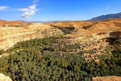 Un patrimoine en fumée : La forêt des balcons de Ghoufi (Aurès) ravagée par des incendies