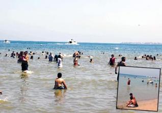 Une journée à Palm Beach : Le délice et ses contrastes
