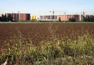 57 000 hectares de terres agricoles réservés aux grands projets : L’affectation soumise à l’aval du Premier ministre