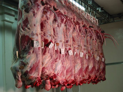 Abattoir du Ruisseau : Une hygiène minimale