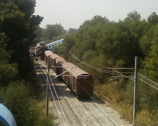 Algérie : Collision entre deux trains à Corso, plusieurs blessés