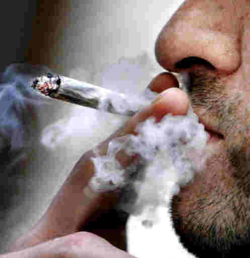 Avec 40 000 dealers ou consommateurs détenus dans les prisons ,La drogue, premier fléau en Algérie