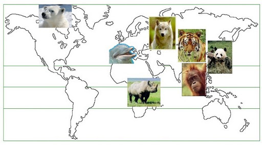 Des biologistes alertent Sur la menace d’extinction d’un quart des mammifères